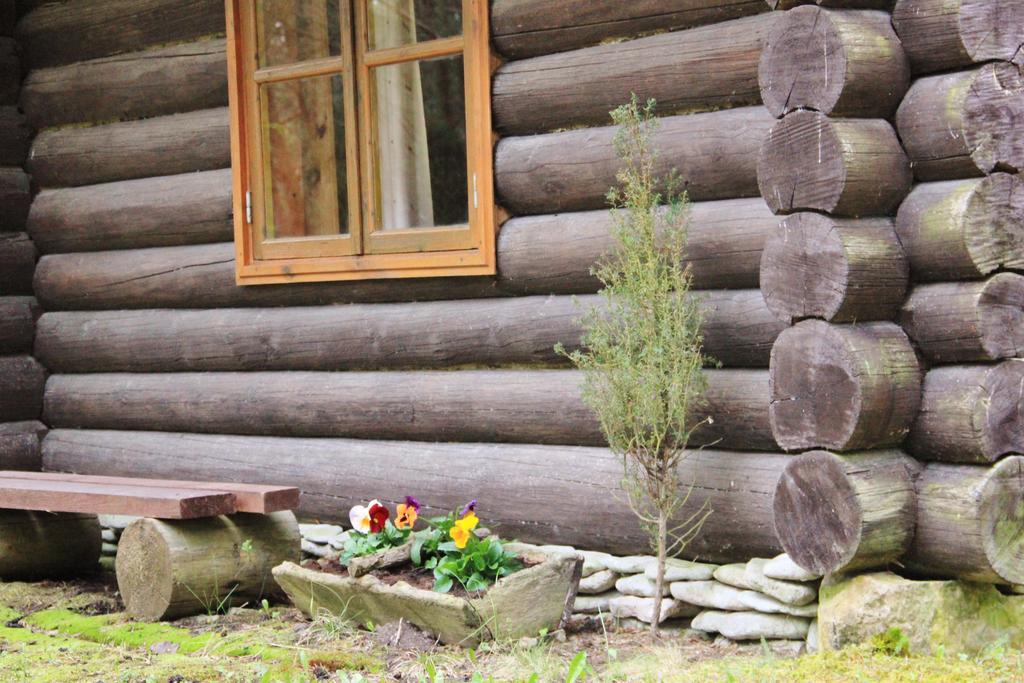 Kuuli Puhkemajad Hotell Tagaranna Rom bilde